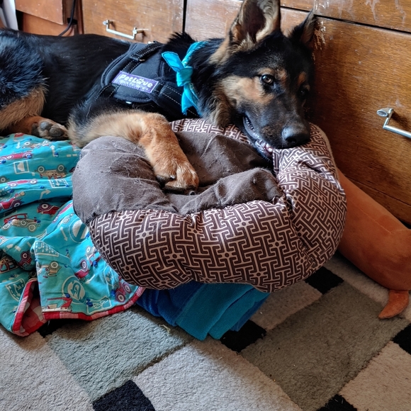 Meet your Posher, Victoria - Picture 16 of 16